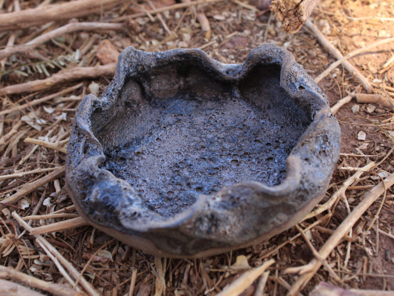 Ceniceros Domeiko